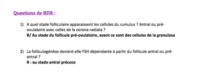 Capture d’écran 2017-11-15 à 14.49.03.png
