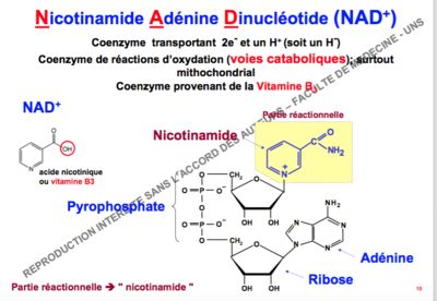 Capture d’écran 2017-11-15 à 22.14.02.png