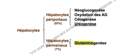 Capture d’écran 2017-11-15 à 22.42.30.png