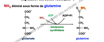 Capture d’écran 2017-11-15 à 22.43.04.png