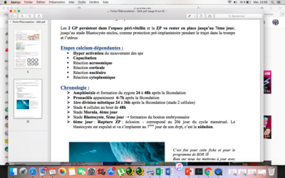 Capture d’écran 2017-11-15 à 22.50.23.png