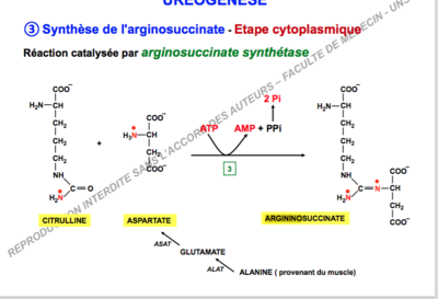 Capture d’écran 2017-11-15 à 23.07.11.png