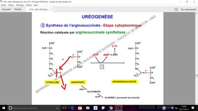 InkedBioch Urée_LI.jpg