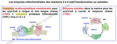 Capture d’écran 2017-11-16 à 21.15.04.png