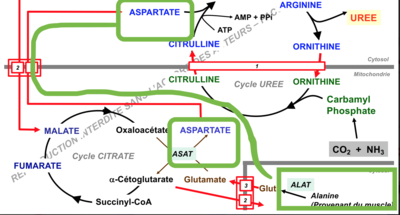 Capture d’écran 2017-11-16 à 22.40.57.png
