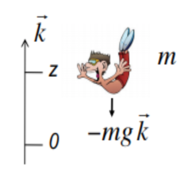 Capture d’écran 2017-11-17 à 12.22.08.png