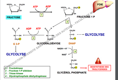 Capture d’écran 2017-11-17 à 19.26.54.png