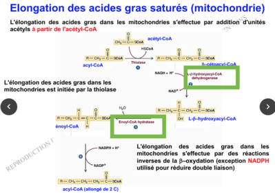 Capture d’écran 2017-11-18 à 20.59.41.png
