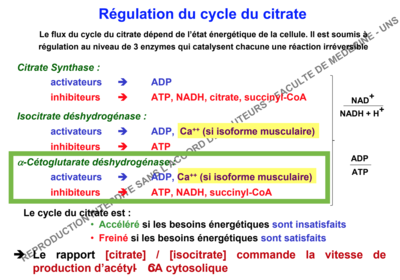 Capture d’écran 2017-11-18 à 21.06.25.png