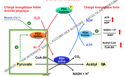 Capture d’écran 2017-11-18 à 21.36.13.png