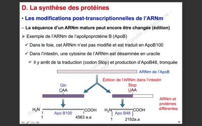Capture d’écran 2017-11-19 à 18.22.20.png
