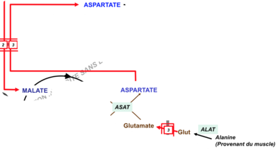 Capture d’écran 2017-11-19 à 19.31.07.png