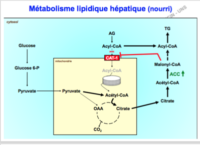 Capture d’écran 2017-11-20 à 19.27.37.png