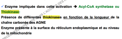 Capture d’écran 2017-11-20 à 19.30.38.png