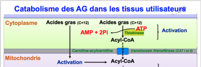 Capture d’écran 2017-11-20 à 19.31.05.png