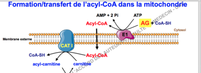 Capture d’écran 2017-11-20 à 19.31.15.png