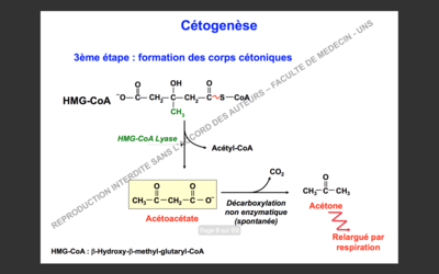 Capture d’écran 2017-11-22 à 13.30.02.png