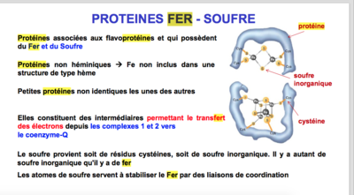 Capture d’écran 2017-11-22 à 13.42.56.png