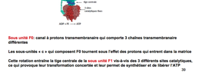 Capture d’écran 2017-11-22 à 13.48.07.png