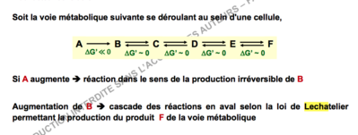 Capture d’écran 2017-11-22 à 14.01.38.png