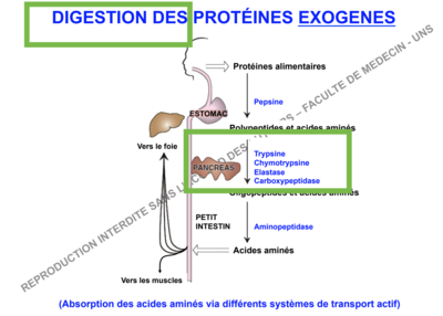 Capture d’écran 2017-11-22 à 18.42.31.png