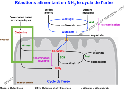Capture d’écran 2017-11-22 à 18.43.07.png