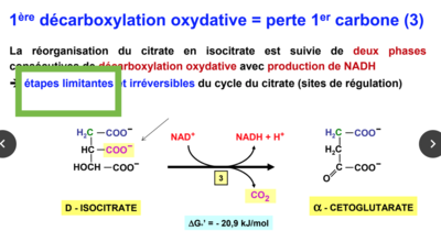 Capture d’écran 2017-11-22 à 19.27.33.png