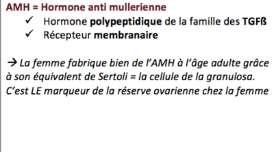 Capture d’écran 2017-11-23 à 14.21.40.png