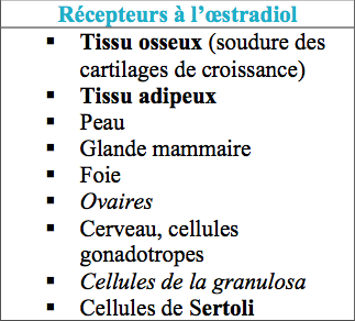 Capture d’écran 2017-11-25 à 18.37.11.png