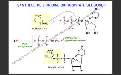 Capture d’écran 2017-11-26 à 09.22.16.png