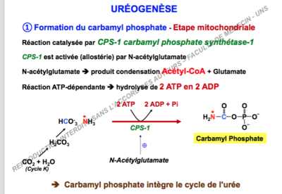 Capture d’écran 2017-11-26 à 10.04.46.png