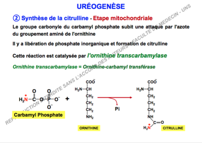 Capture d’écran 2017-11-26 à 10.04.49.png