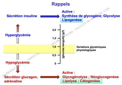 Capture d’écran 2017-11-26 à 10.09.04.png