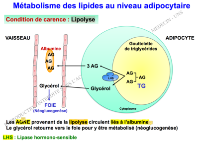 Capture d’écran 2017-11-26 à 10.13.56.png