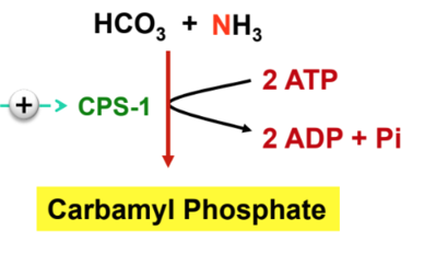 Capture d’écran 2017-11-26 à 10.49.26.png