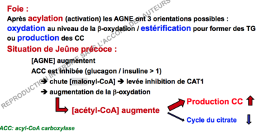 Capture d’écran 2017-11-26 à 10.54.51.png