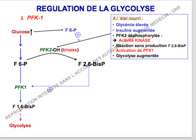 Capture d’écran 2017-11-26 à 11.03.10.png