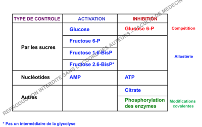 Capture d’écran 2017-11-26 à 11.43.57.png