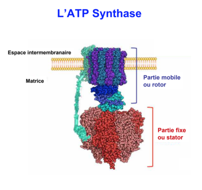 Capture d’écran 2017-11-27 à 10.58.02.png