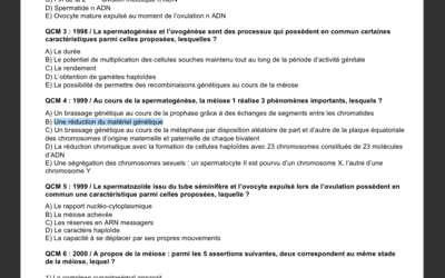 Capture d’écran 2017-11-29 à 13.07.16.png