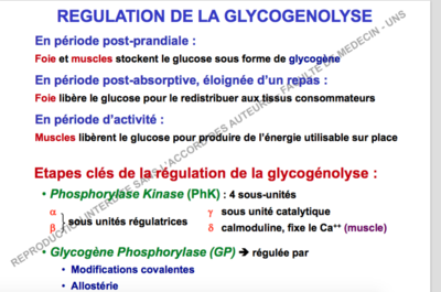 Capture d’écran 2017-11-29 à 14.06.27.png