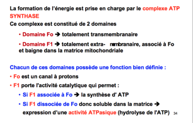 Capture d’écran 2017-11-29 à 14.30.11.png