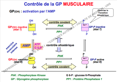 Capture d’écran 2017-11-29 à 14.58.01.png