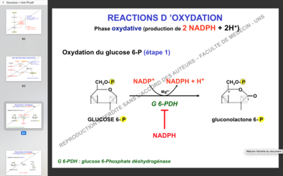 Capture d’écran 2017-11-29 à 16.10.28.png