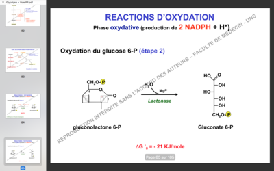 Capture d’écran 2017-11-29 à 16.10.31.png
