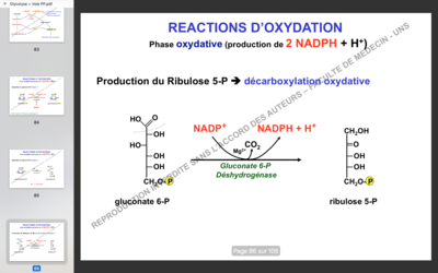 Capture d’écran 2017-11-29 à 16.10.33.png