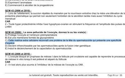 Capture d’écran 2017-11-29 à 18.55.34.png