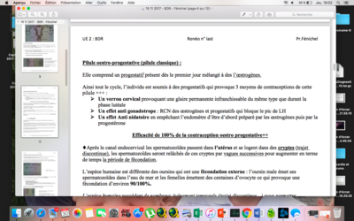Capture d’écran 2017-11-30 à 19.02.11.png