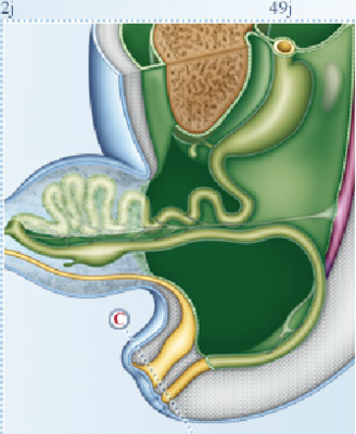 question cloaque.png