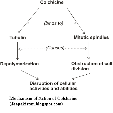 Colchicine, Mechanism of Action.png